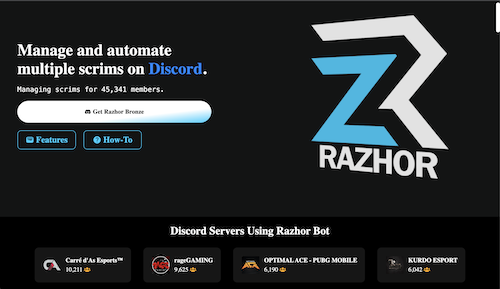 Razhor Scrim Bot